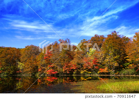 Kariike池塘秋葉白山國家公園 70911647
