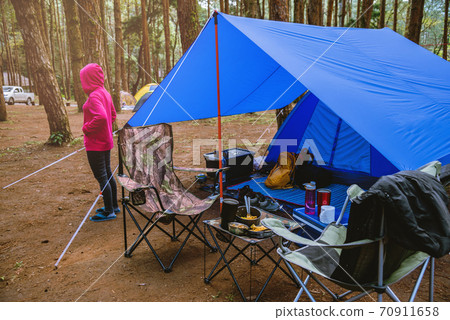 Women Nature tourism, camping in the middle of the pine forest. Adjusting and pulling the tent rope. Women Nature tourism, camping in the middle of the pine forest. Adjusting and pulling the tent rope. 70911658