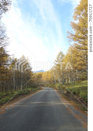Forest road to Honzawa Onsen Forest road to Honzawa Onsen 70911727