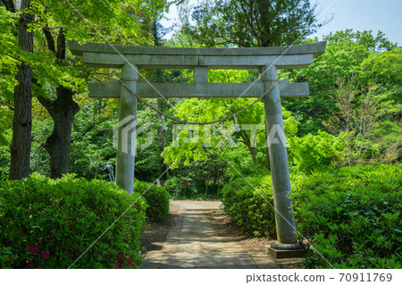 東京都八王子市片倉城遺址公園住吉神社的鳥居 東京都八王子市片倉城遺址公園住吉神社的鳥居 70911769