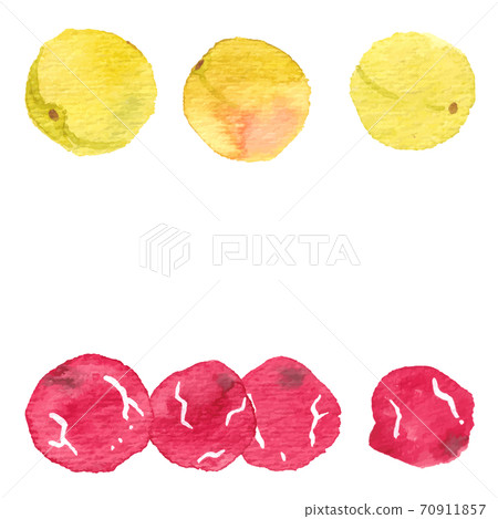 大梅和梅干 大梅和梅干 70911857