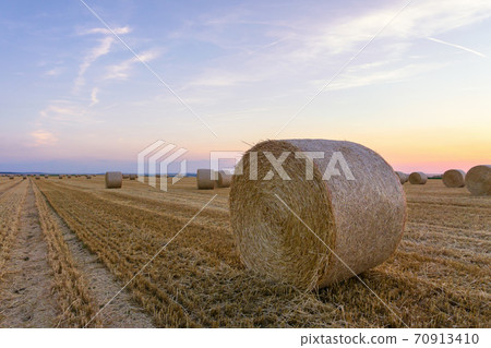 Straw bales stacked in a field at summer time, Reims , France 70913410