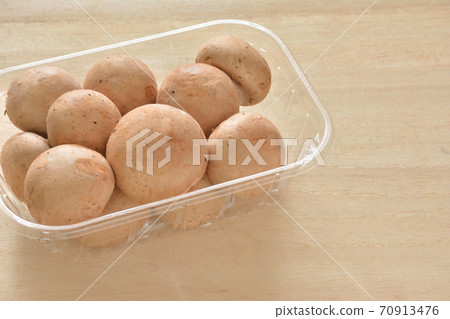 蘑菇 蘑菇 70913476