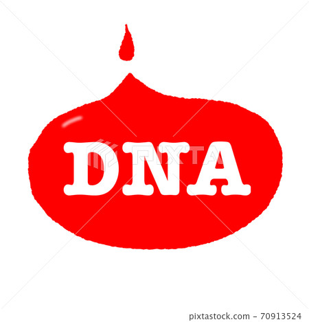 基因 DNA 70913524