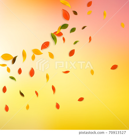 Falling autumn leaves. Red, yellow, green, brown c Falling autumn leaves. Red, yellow, green, brown c 70913527