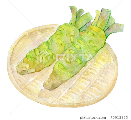 水彩插圖食品芥末 水彩插圖食品芥末 70913535
