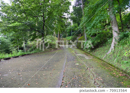I went to Tofukuji Temple # 1 70913564