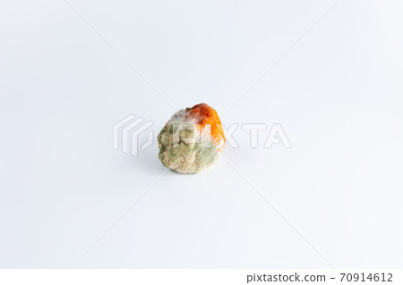 moldy rotten orange tangerine on a white background, spoiled fruit, bad old food, uneatable 70914612