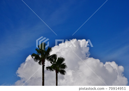 Clouds that spring up Clouds that spring up 70914951