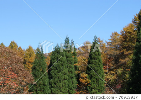 Okayama Prefectural Forest Park 70915917
