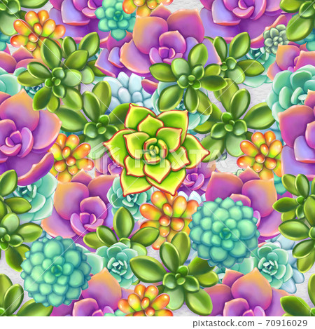 Seamless pattern with succulents. Beautiful floral print. Seamless pattern with succulents. Beautiful floral print. 70916029