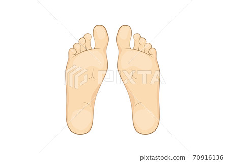 Vector illustration of a mans soles. Vector illustration of a mans soles. 70916136