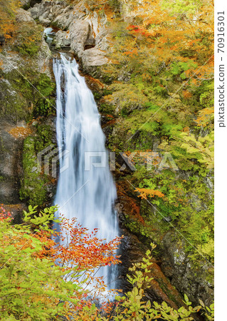 宮城縣大垣昭夫 70916301