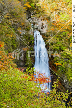 宮城縣大垣昭夫 70916303