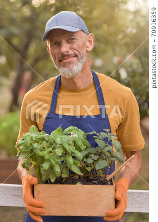 Happy middle aged caucasian business man with spicy herbs Happy middle aged caucasian business man with spicy herbs 70916359