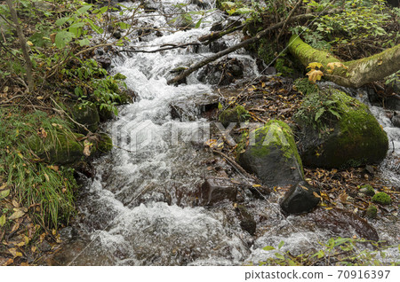 Stream of a stream 70916397