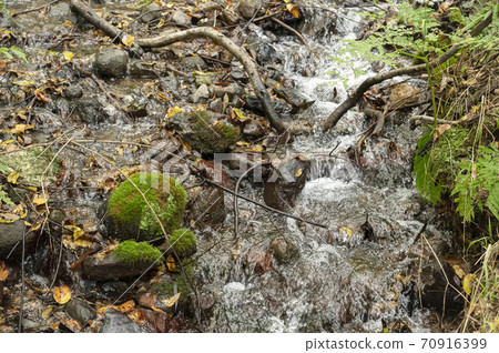 Stream of a stream Stream of a stream 70916399