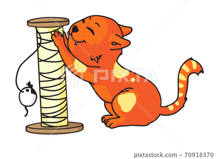 Cat sharpening claw on scratcher isolated on white 70918370