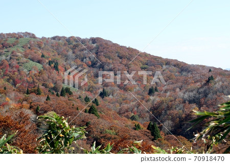 Okayama Prefectural Forest Park 70918470