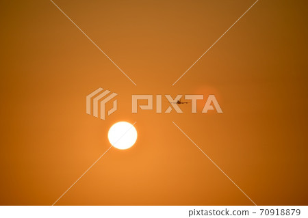 The plane is gaining altitude, with evenly spread wings. Flies in the orange sunset.  70918879