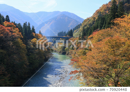 Toyama Prefecture Autumn Gokayama Shogawa Kaminashi Ohashi 70920448