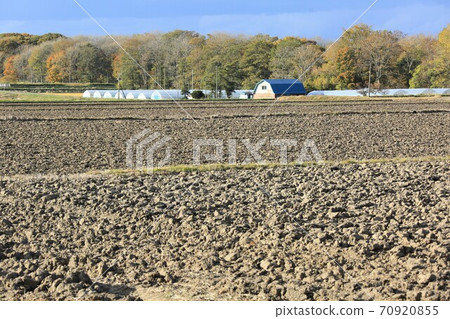 Agricultural landscape / Autumn field after harvest (Naganuma Town, Hokkaido) Agricultural landscape / Autumn field after harvest (Naganuma Town, Hokkaido) 70920855