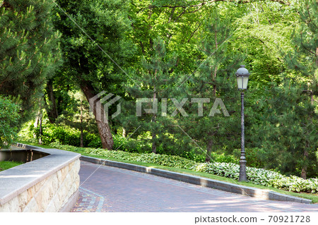 paved walkway in a park with pine trees and green lawn, landscape with plants and a lamppost with a lantern. 70921728