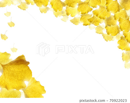 銀杏葉秋圖像背景素材 插圖素材 圖庫 銀杏葉秋圖像背景素材 插圖素材 圖庫