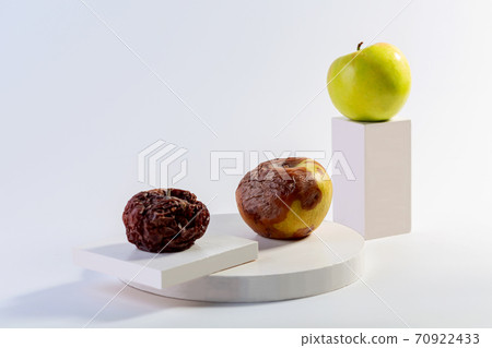 Physical and chemical changes of apples. 70922433