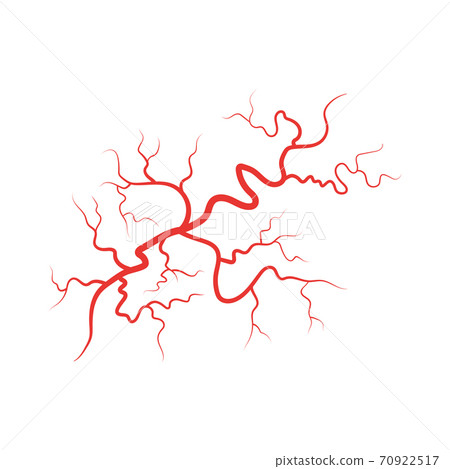 Human veins red blood vessel vector illustration Human veins red blood vessel vector illustration 70922517