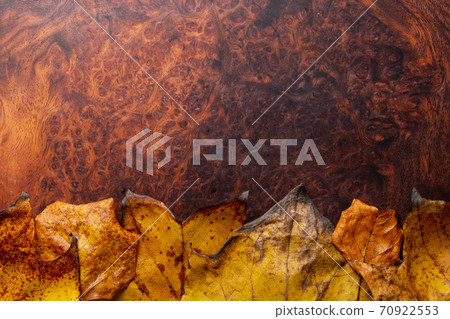 Tulip tree in autumn colors and wooden board 70922553