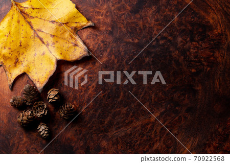 Tulip tree in autumn colors and wooden board 70922568