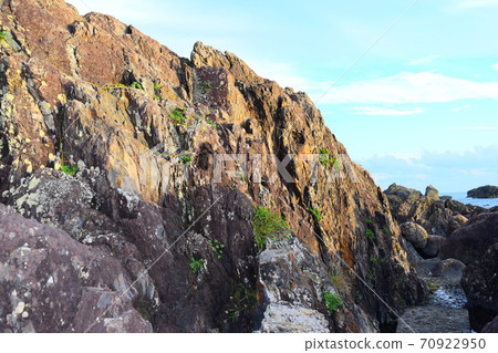 室戶角[Muroto世界地質公園] 70922950