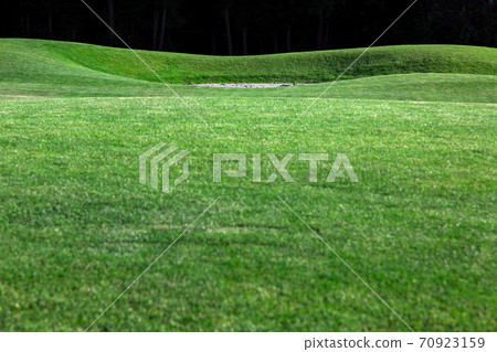 Golf course with green lawn. Golf course with green lawn. 70923159