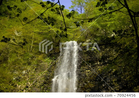 塔瑪達爾瀑布 塔瑪達爾瀑布 70924456