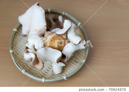 神秘的香菇 神秘的香菇 70924878