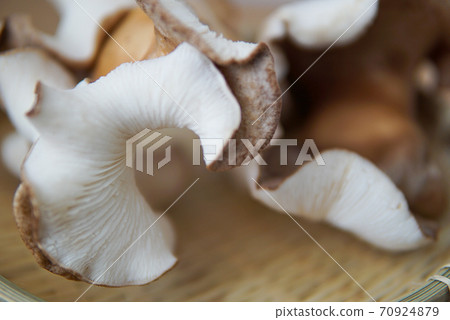 神秘形狀的竹特寫 神秘形狀的竹特寫 70924879