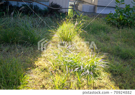 A ray of light in a vacant lot A ray of light in a vacant lot 70924882