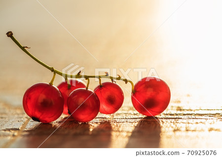 redcurrant berries on a wooden background in the sun redcurrant berries on a wooden background in the sun 70925076