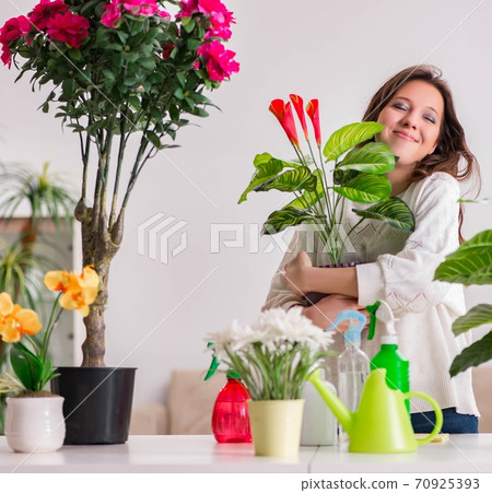 Young woman looking after plants at home 70925393