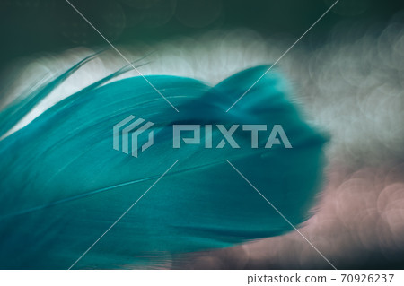 Close up Beautiful blue Bird feather pattern on a bokeh background for design texture. Close up Beautiful blue Bird feather pattern on a bokeh background for design texture. 70926237