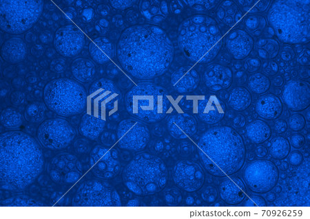 Beautiful abstract blue bubbles in water extreme. Abstract nature pattrn for design. Macro photogrpaphy view. Beautiful abstract blue bubbles in water extreme. Abstract nature pattrn for design. Macro photogrpaphy view. 70926259