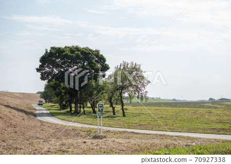 荒川運動公園周圍的風吹草 荒川運動公園周圍的風吹草 70927338
