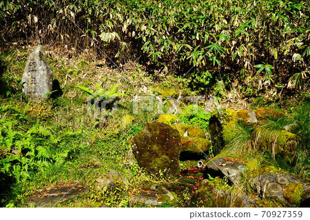 Mt. Yamizo, Ginkgo water, silver water 70927359