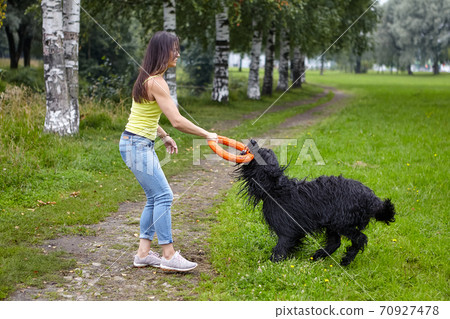 Briard and woman play in public park. Briard and woman play in public park. 70927478