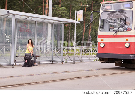 Tram rides to woman and briard on public transport stop. 70927539
