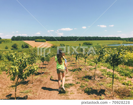 Summer garden on countryside farm: rural landscape of fruit trees cultivation and kids walking along it 70928228