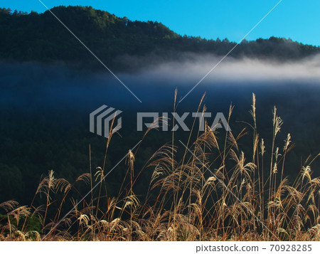 Kaida Kogen: Clouds and pampas grass fluttering in the early morning autumn breeze Kaida Kogen: Clouds and pampas grass fluttering in the early morning autumn breeze 70928285