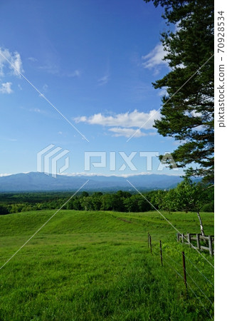 初夏的北輕井澤淺間農場 初夏的北輕井澤淺間農場 70928534