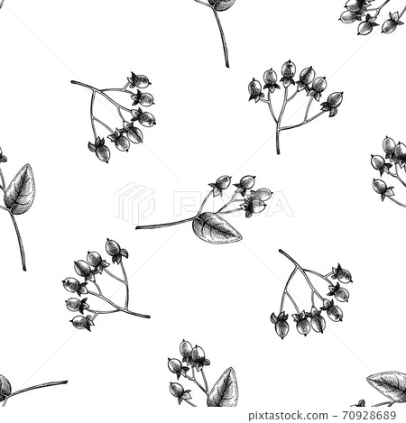 Seamless pattern with black and white hypericum Seamless pattern with black and white hypericum 70928689